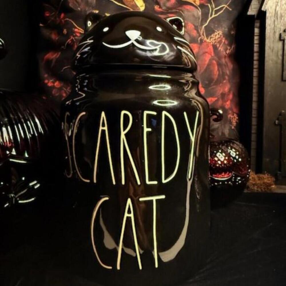 Rae Dunn SCAREDY CAT Black Cat Halloween Canister  Artisan Collection by Mage